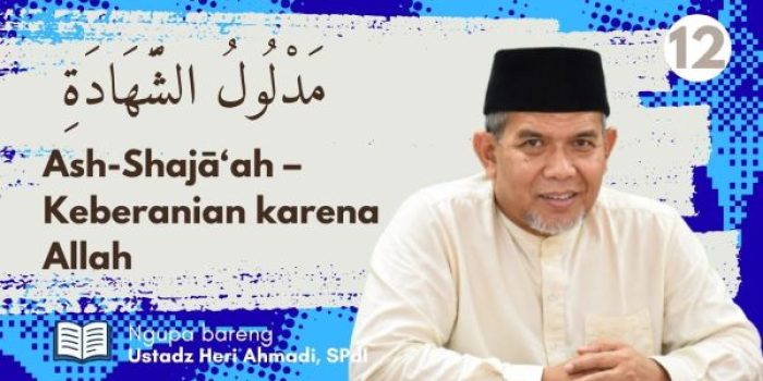 12ha